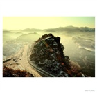 dailyPhoto40